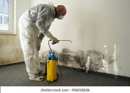  , USA Mold Remediation Pros